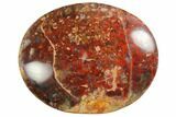 Petrified Palm Root Pocket Stones - Red Color - Photo 2